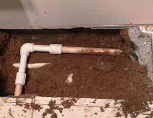 岚山测漏水哪家好