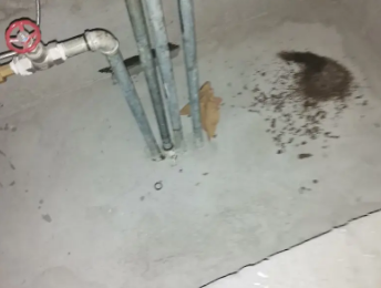 岚山卫生间测漏水价格明细